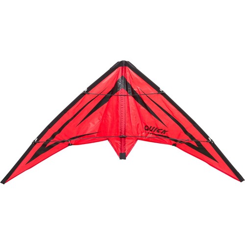 Ecoline lenkdrachen rookie - ecoline,