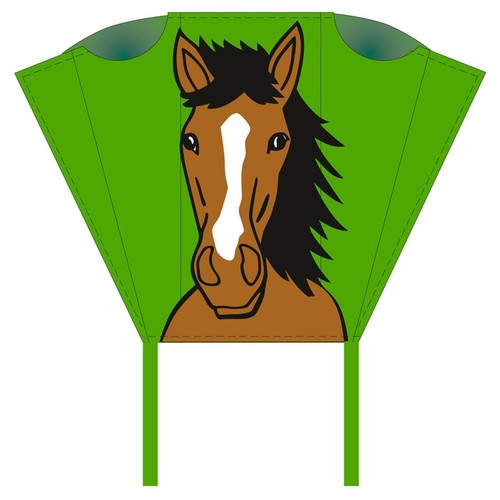 Kinderdrachen einleiner pocket - einleiner,