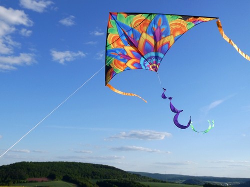 Drachen einleiner delta - einleiner,